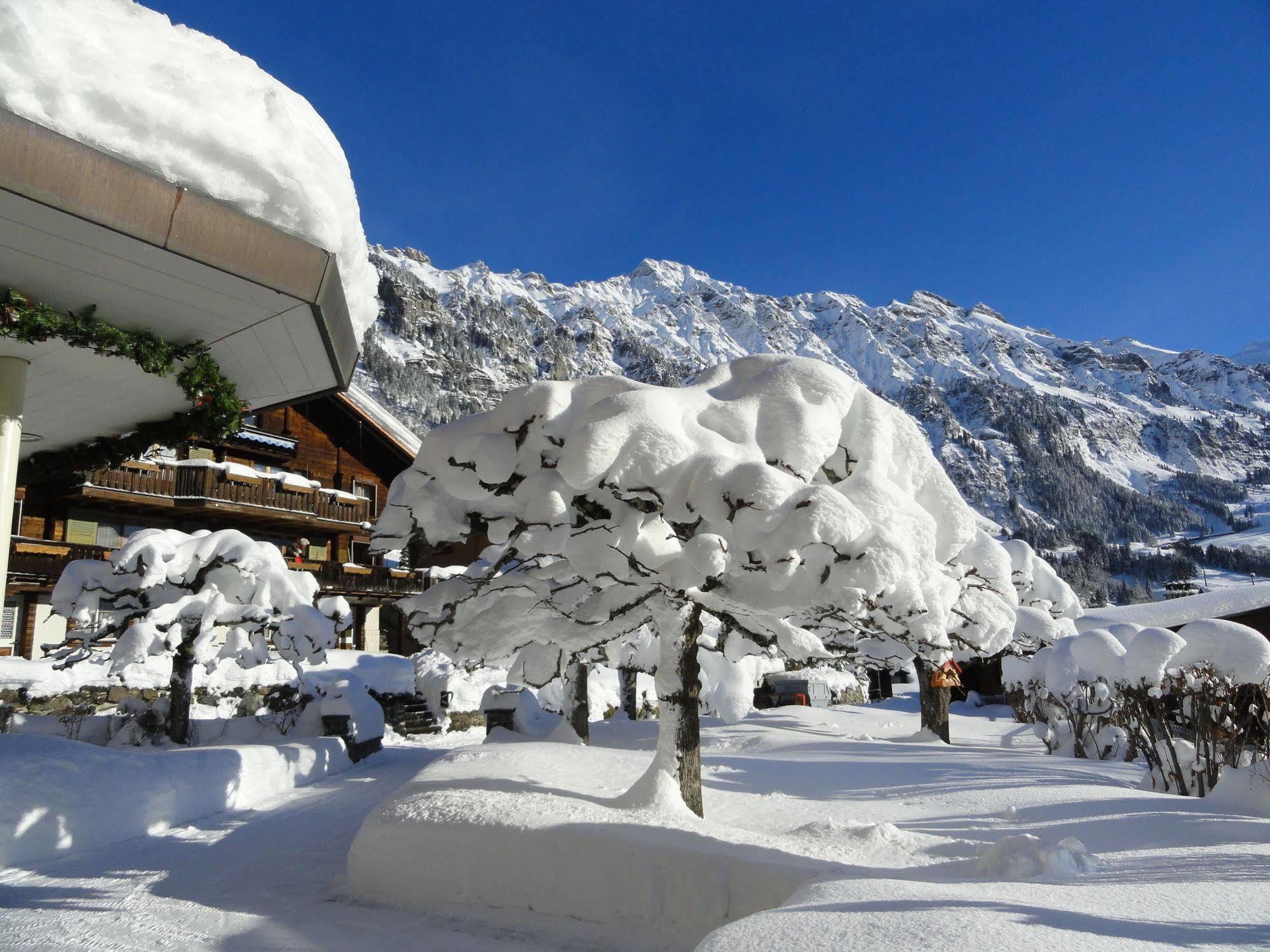 Hotel Alpenruhe - Vintage Design Hotel Wengen Bagian luar foto