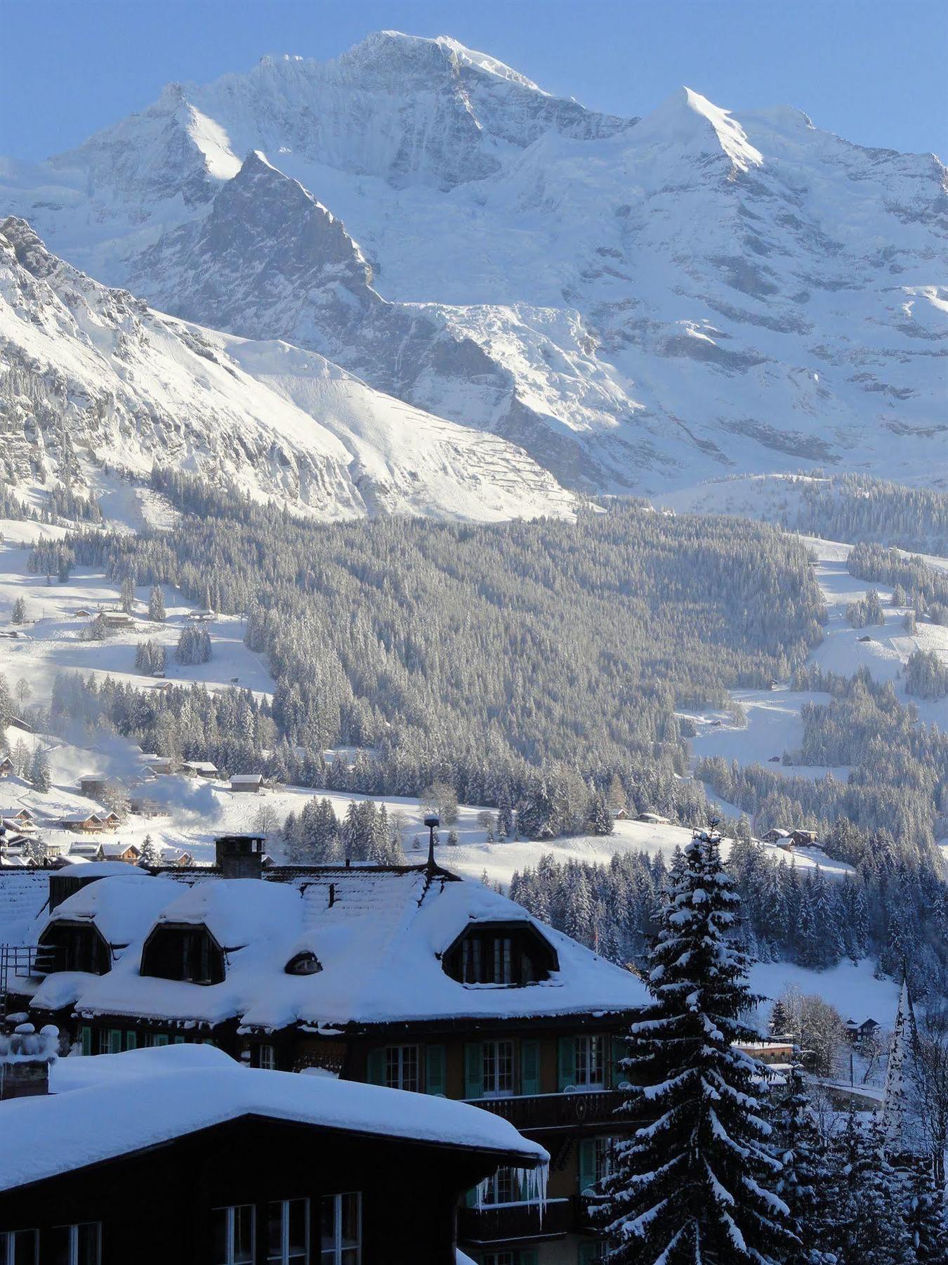 Hotel Alpenruhe - Vintage Design Hotel Wengen Bagian luar foto
